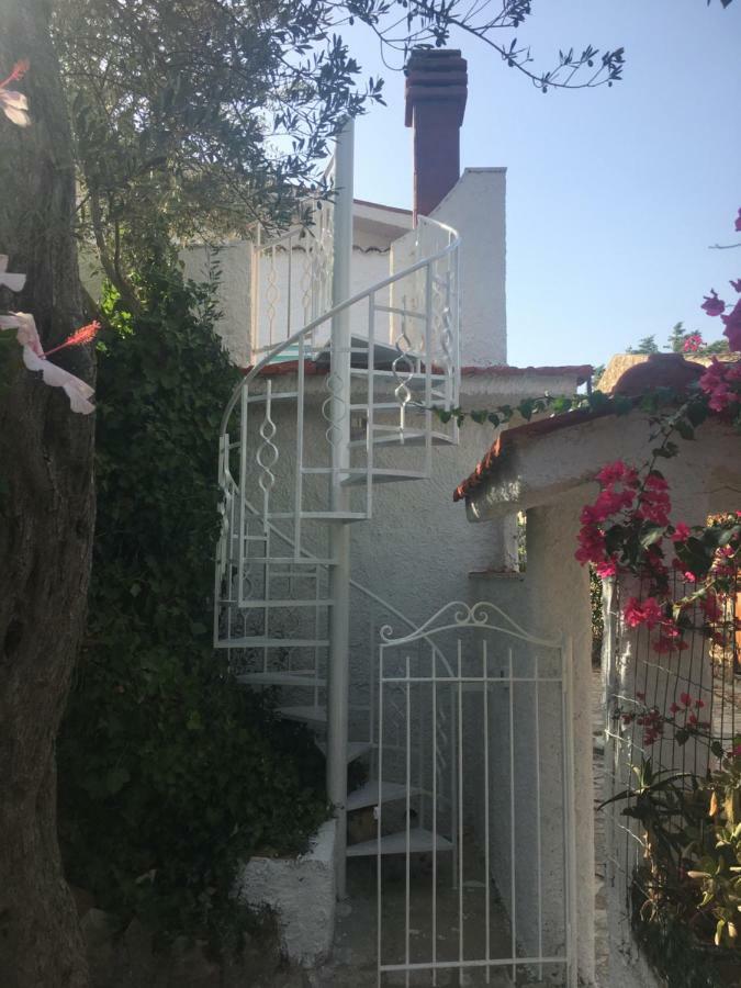 Villino Fraginesi Villa Castellammare del Golfo Eksteriør billede
