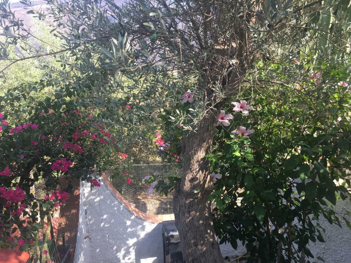 Villino Fraginesi Villa Castellammare del Golfo Eksteriør billede