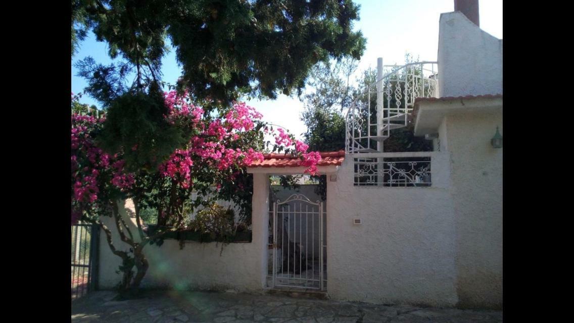 Villino Fraginesi Villa Castellammare del Golfo Eksteriør billede