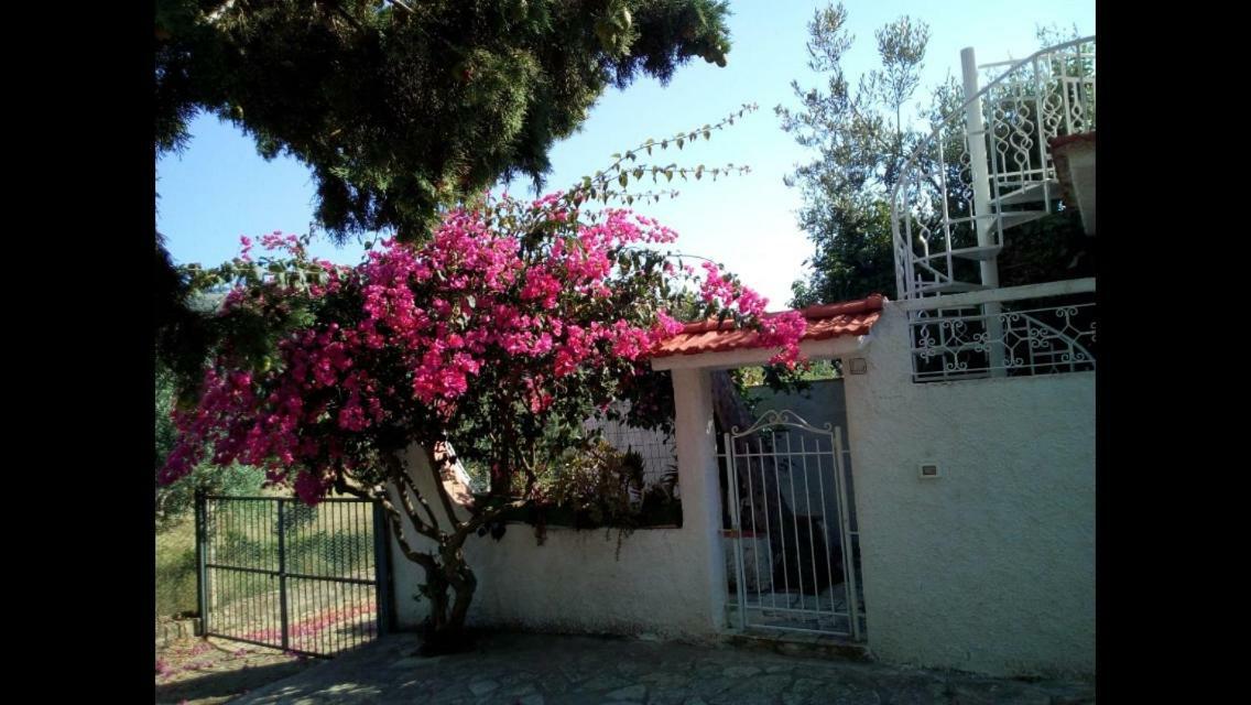 Villino Fraginesi Villa Castellammare del Golfo Eksteriør billede